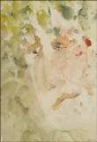 Faun, morgen