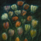 Tulipaner, oppdrift