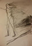 Videre